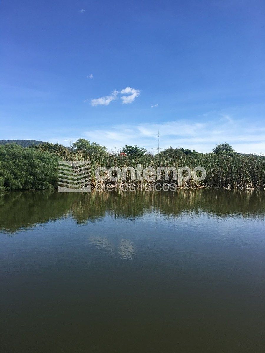 Fazenda em Zumpahuacan, Zumpahuacán, foto 32 de 50