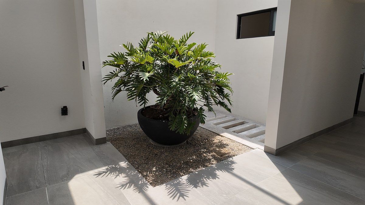 Casa en Burgos, Temixco, foto 19 de 24