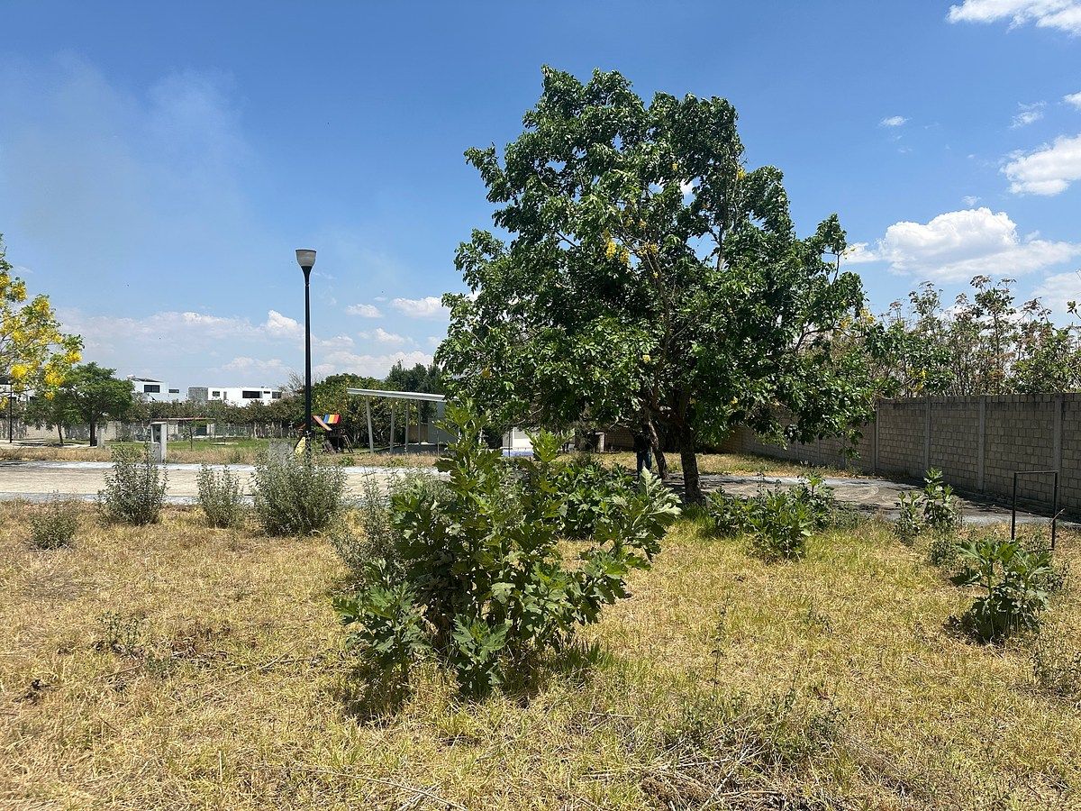 Lote em Hábitat San Millán, Tlajomulco de Zúñiga, foto 2 de 20