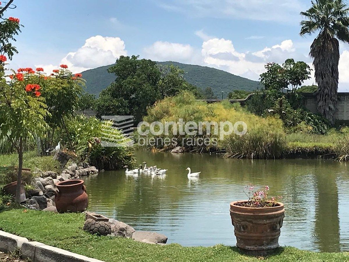 Rancho en Zumpahuacan, Zumpahuacán, foto 2 de 50