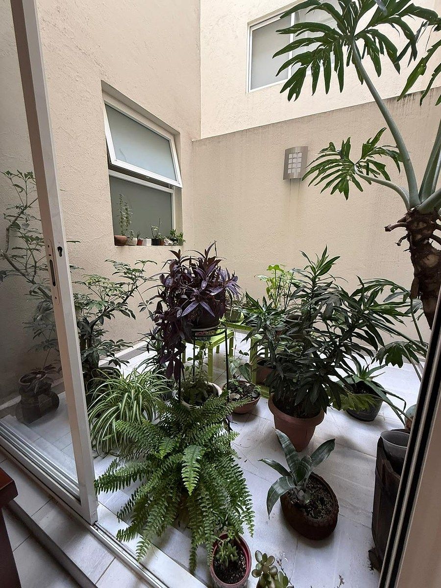 Apartamento em Del Valle Centro, Benito Juárez, foto 17 de 17
