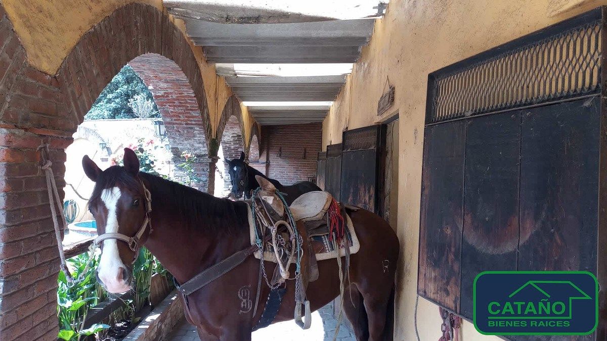 Lote comercial em Santo Tomas Ajusco, Tlalpan, foto 10 de 17