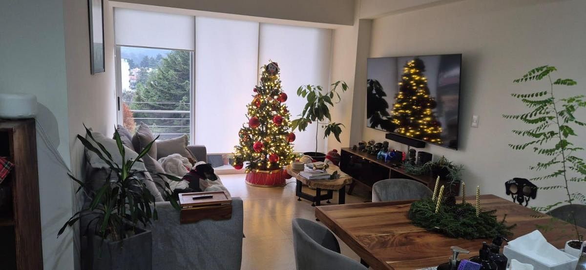 Apartamento em Contadero, Cuajimalpa de Morelos, foto 14 de 14