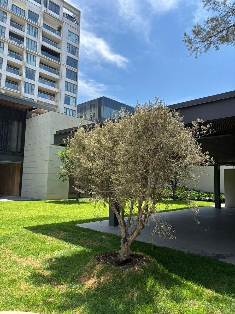 Casa em Puerta de Hierro, Zapopan, foto 13 de 42