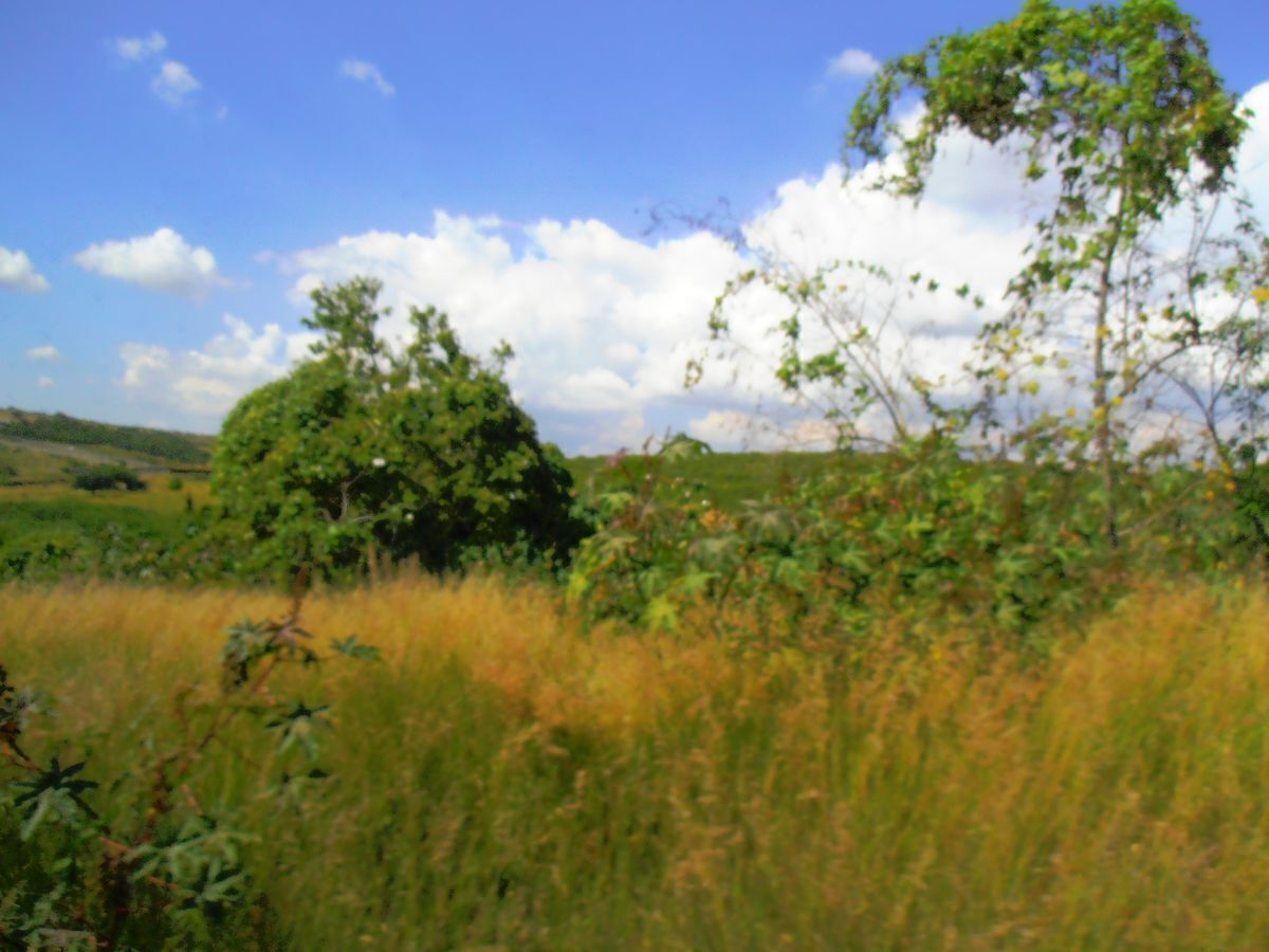Lote em Jurica, Querétaro, foto 8 de 10