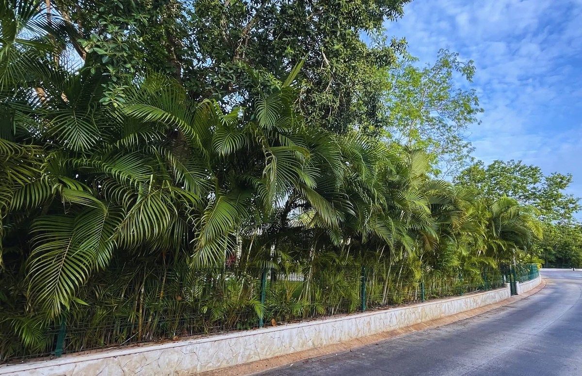 Casa em Jardines del Sur, Benito Juárez, foto 19 de 25
