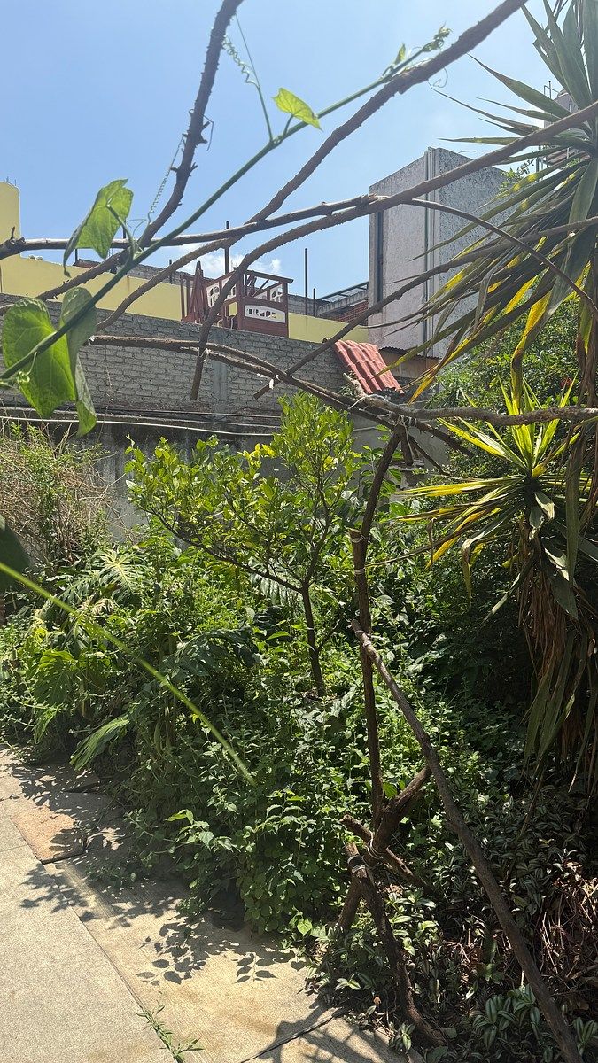 Lote em Anáhuac I Sección, Miguel Hidalgo, foto 6 de 7