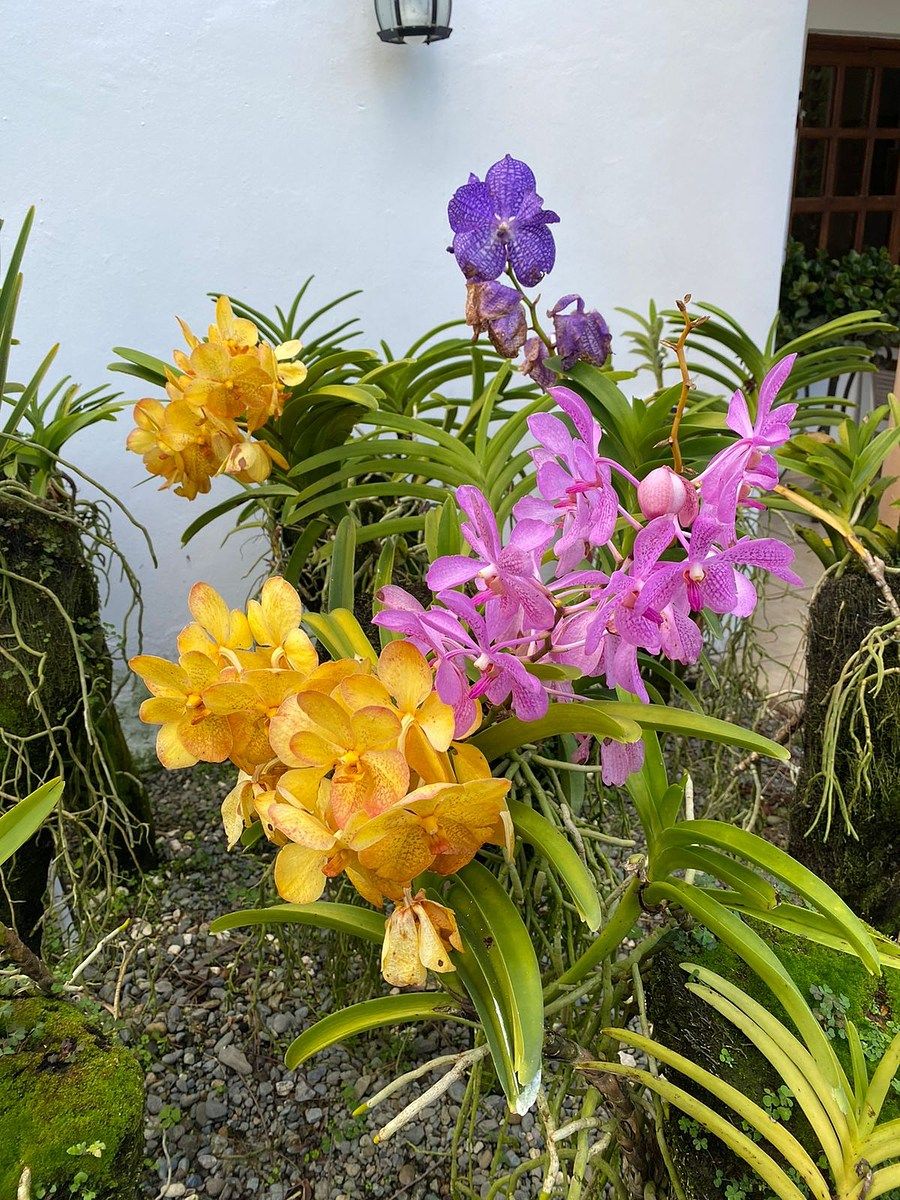 Apartamento en Sabaneta, Jarabacoa, foto 12 de 23