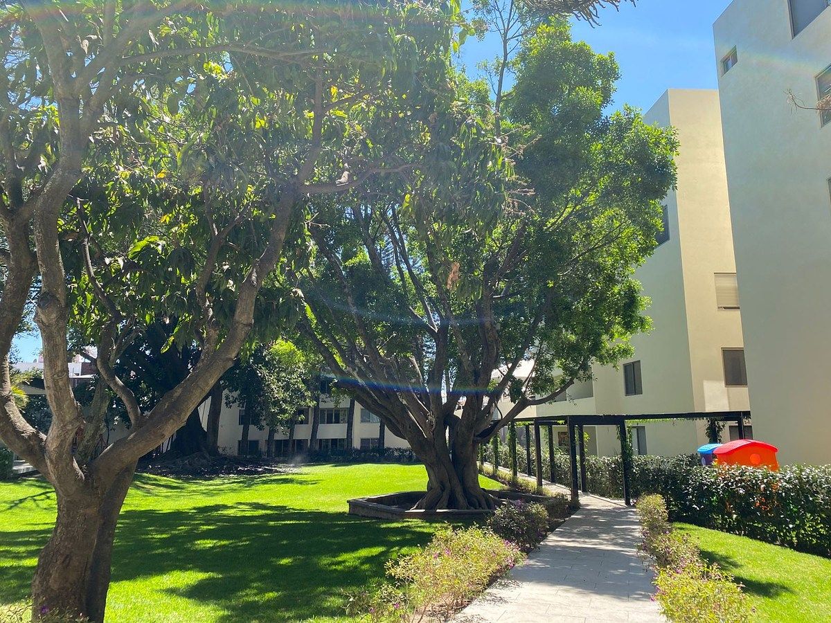 Apartamento em Jardines de Tlaltenango, Cuernavaca, foto 22 de 25