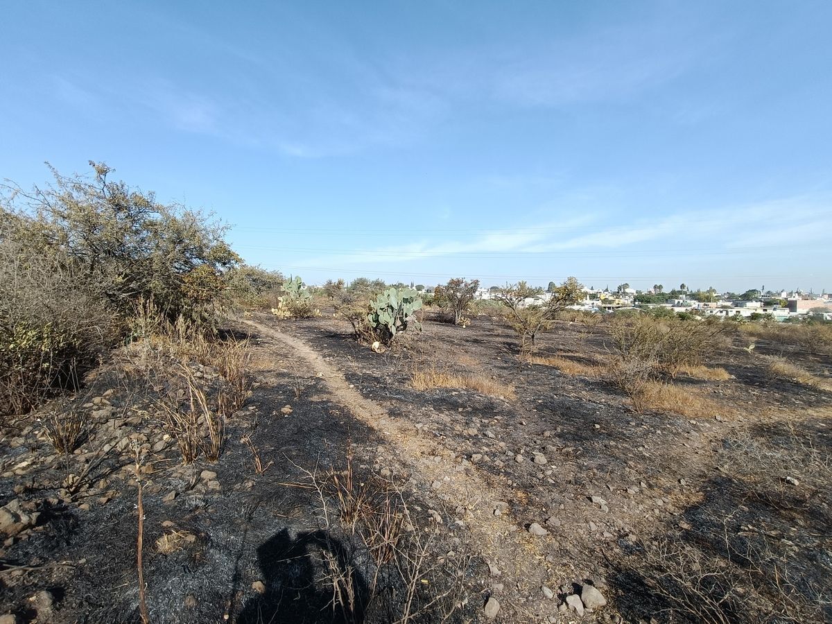 Lote em San Isidro Miranda, El Marqués, foto 11 de 12
