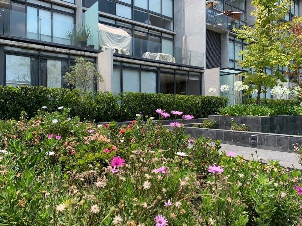 Apartamento em Contadero, Cuajimalpa de Morelos, foto 30 de 37