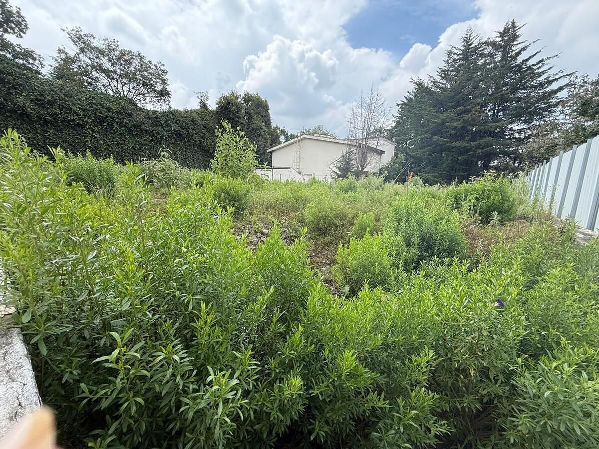 Terreno en Bosque de las Lomas, Miguel Hidalgo, foto 3 de 9