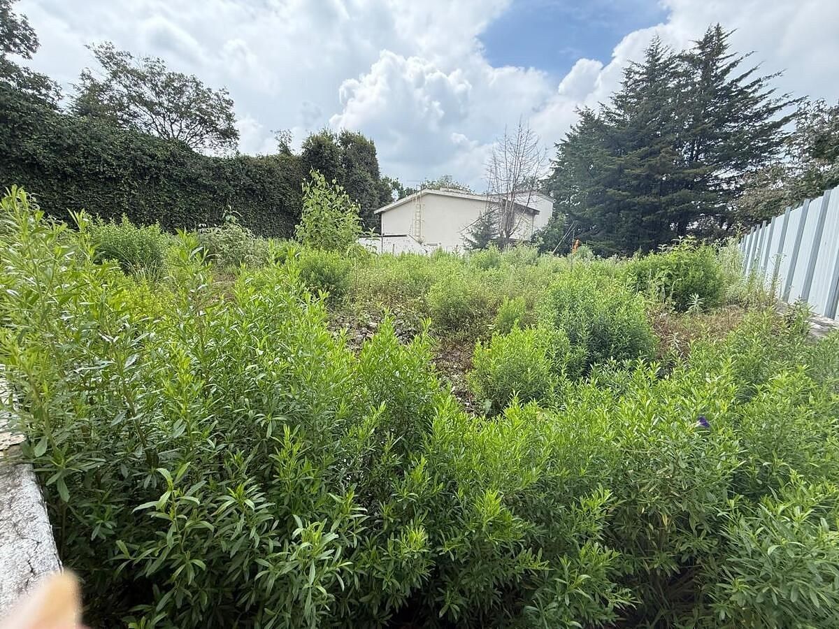 Terreno en Bosque de las Lomas, Miguel Hidalgo, foto 7 de 9