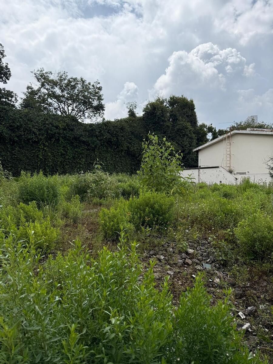 Terreno en Bosque de las Lomas, Miguel Hidalgo, foto 8 de 9