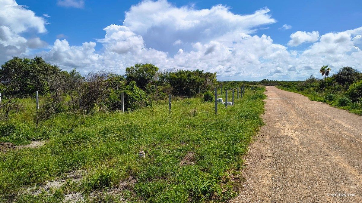 Lote em San Bruno, Dzemul, foto 2 de 3