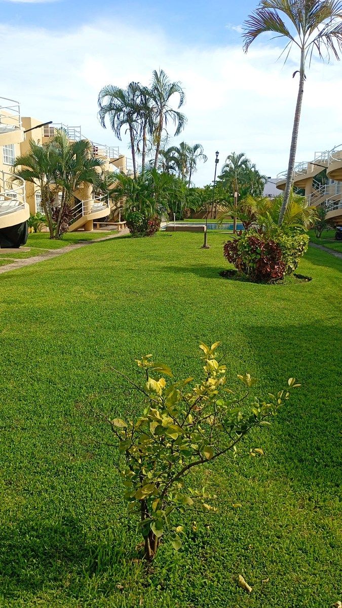 Apartment in Llano Largo, Acapulco de Juárez, photo 32 of 34