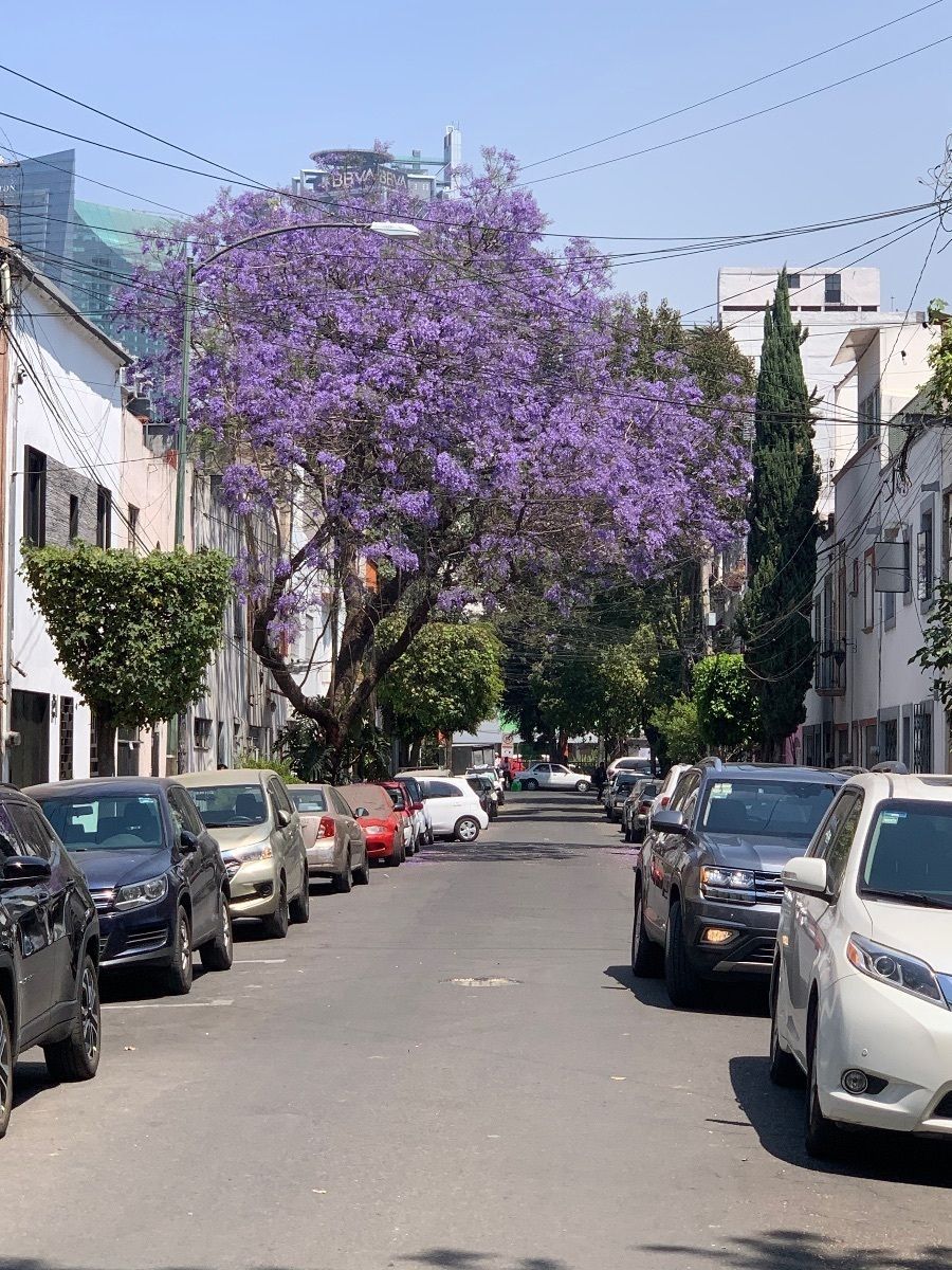 Casa em Colonia Condesa, Cuauhtémoc, foto 21 de 23