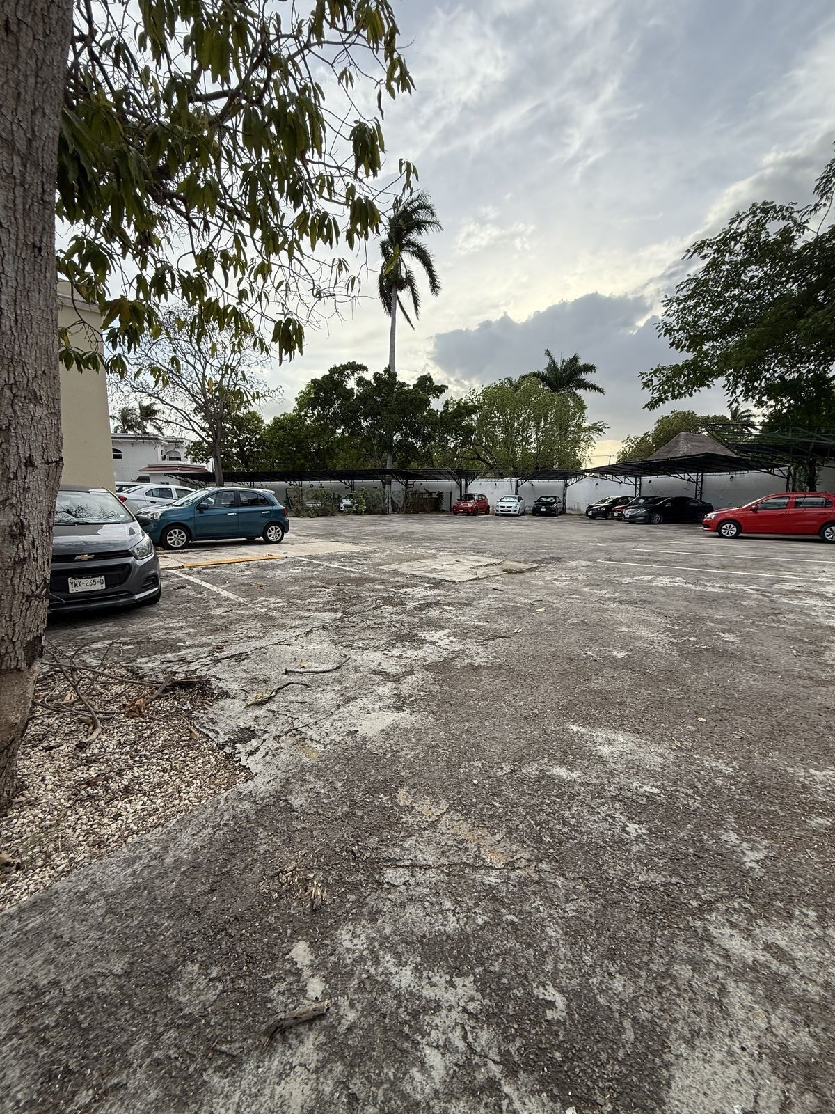 Sala Comercial em Paseo de Montejo, Mérida, foto 2 de 34