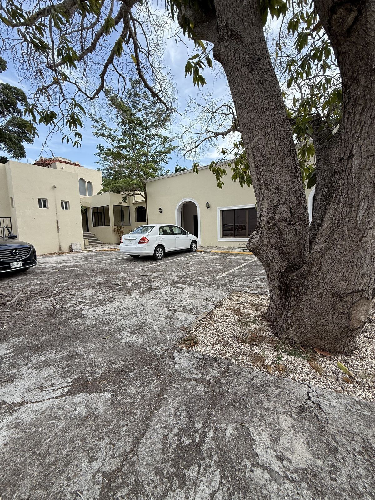 Sala Comercial em Paseo de Montejo, Mérida, foto 3 de 34