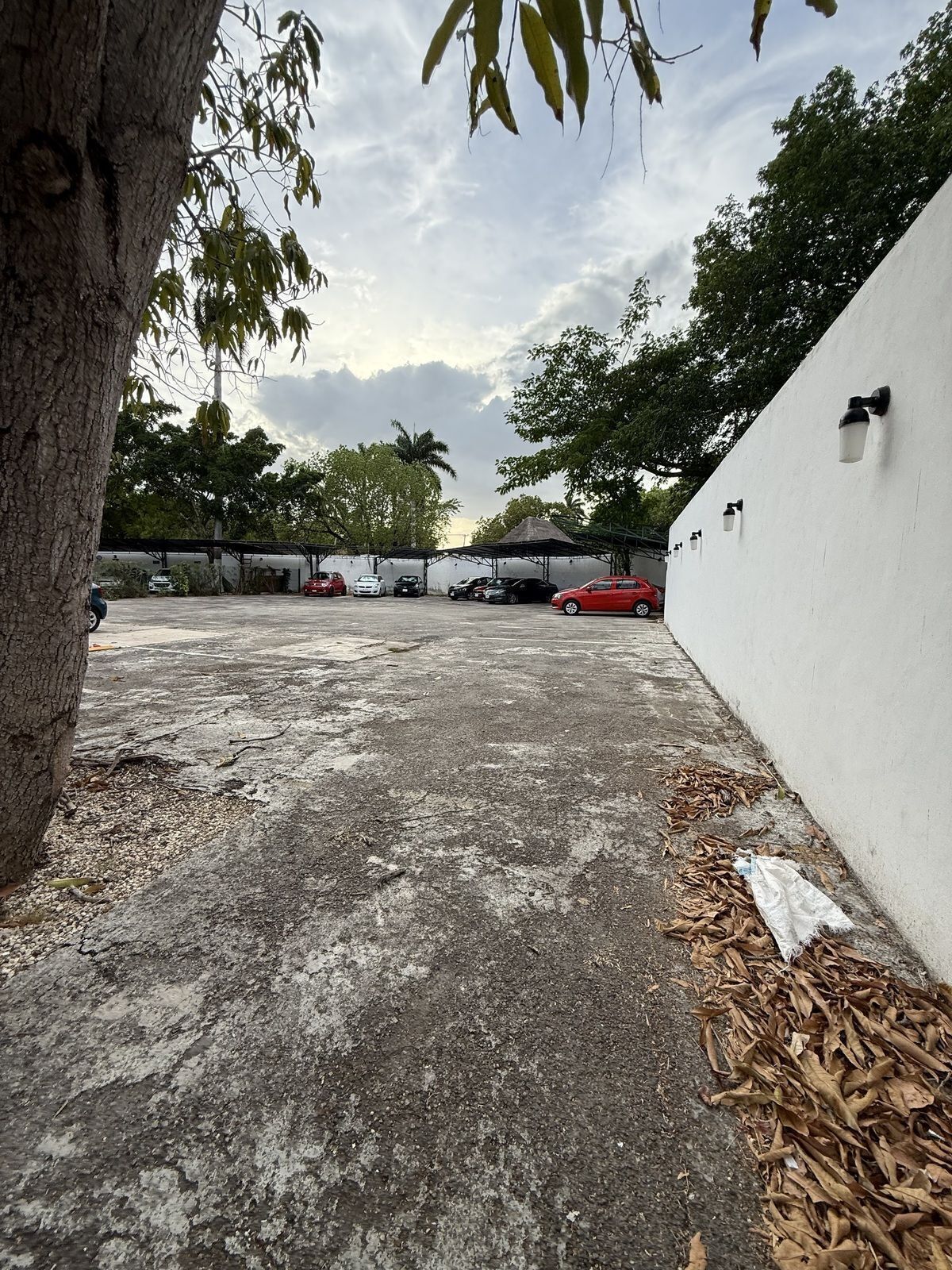 Sala Comercial em Paseo de Montejo, Mérida, foto 4 de 34