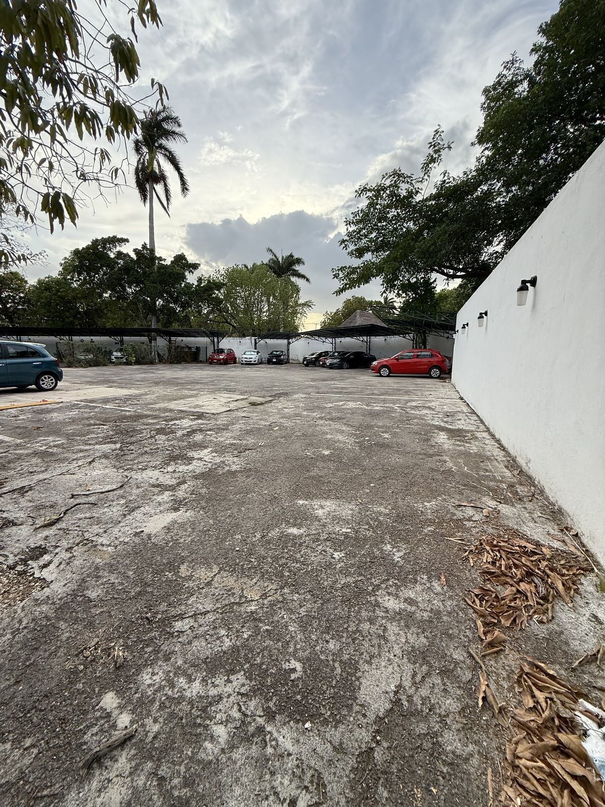 Sala Comercial em Paseo de Montejo, Mérida, foto 6 de 34