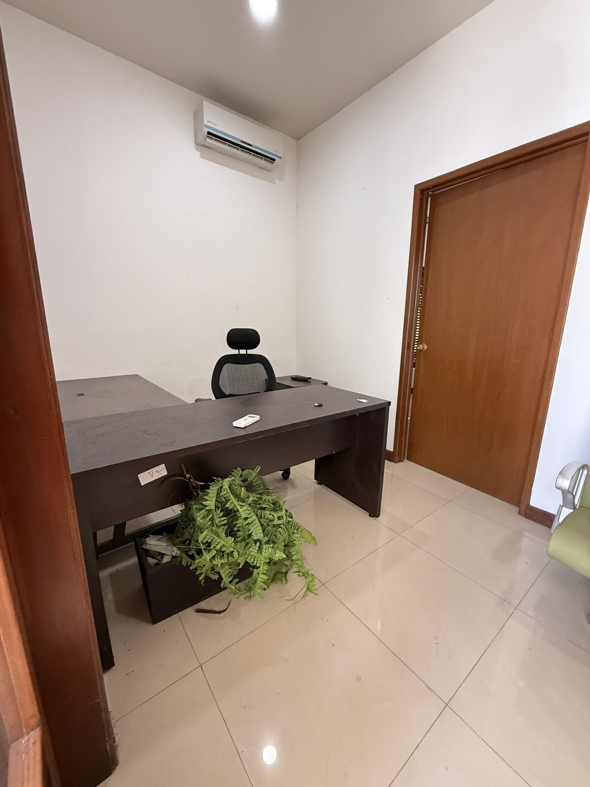 Sala Comercial em Paseo de Montejo, Mérida, foto 12 de 34