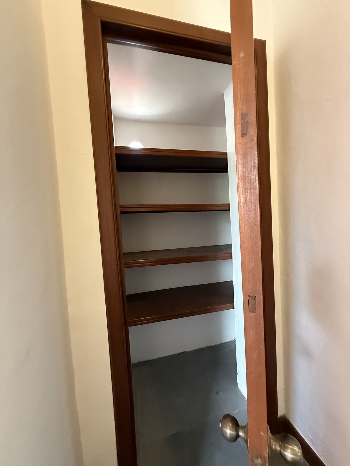 Sala Comercial em Paseo de Montejo, Mérida, foto 19 de 34