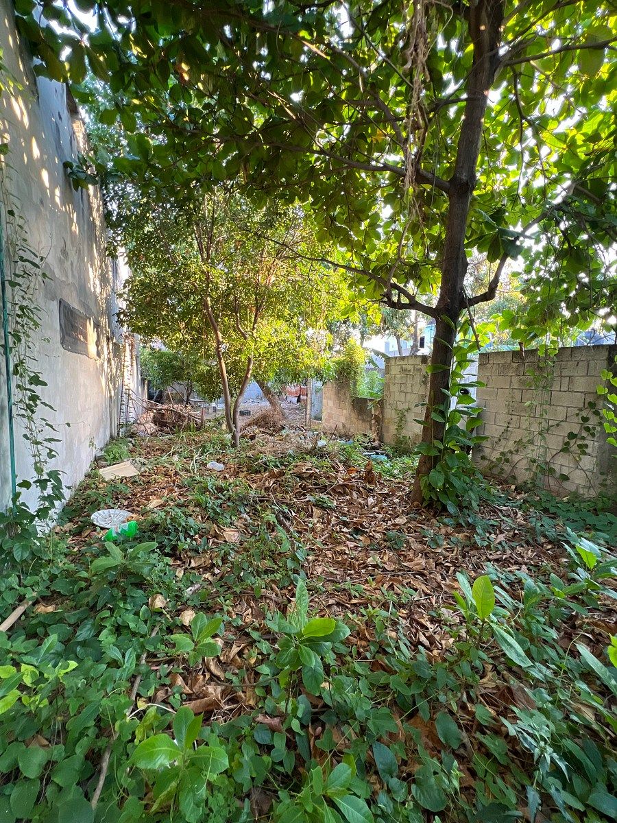 Lote em Puntilla, Carmen, foto 11 de 14