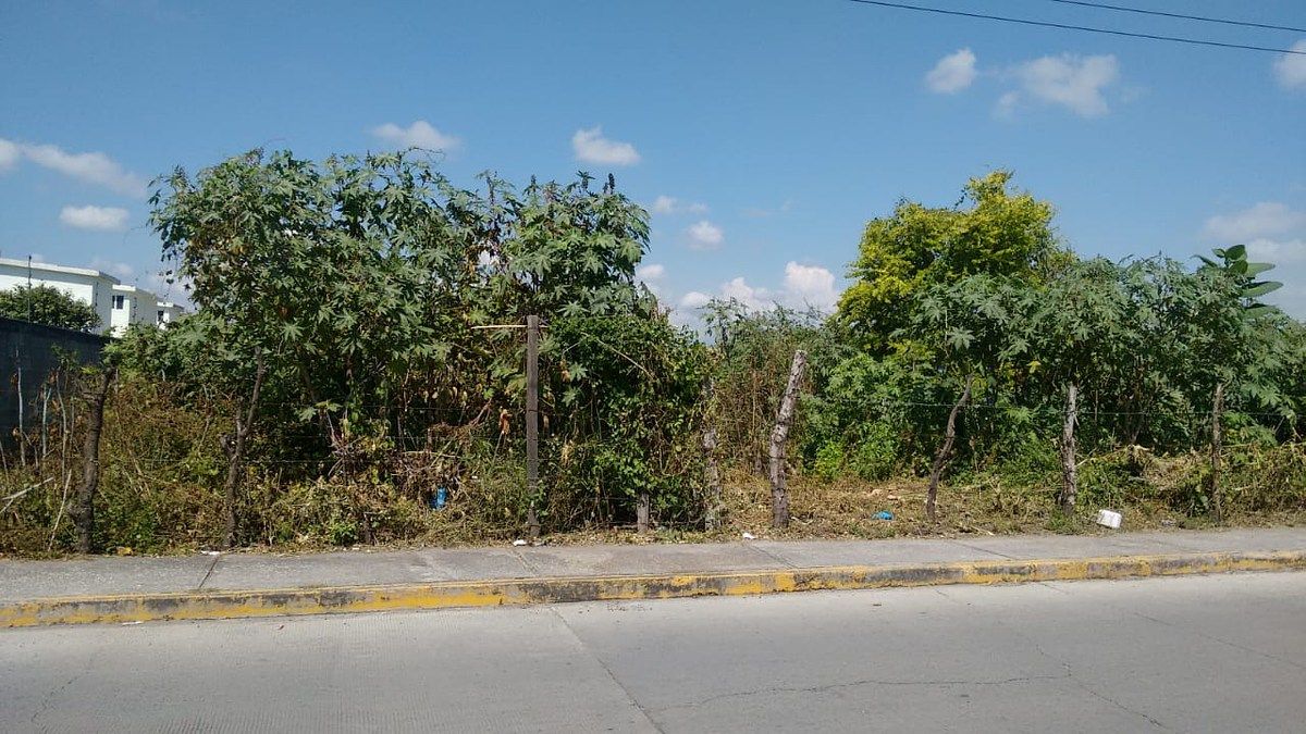 Lote em Centro, Xochitepec, foto 8 de 17