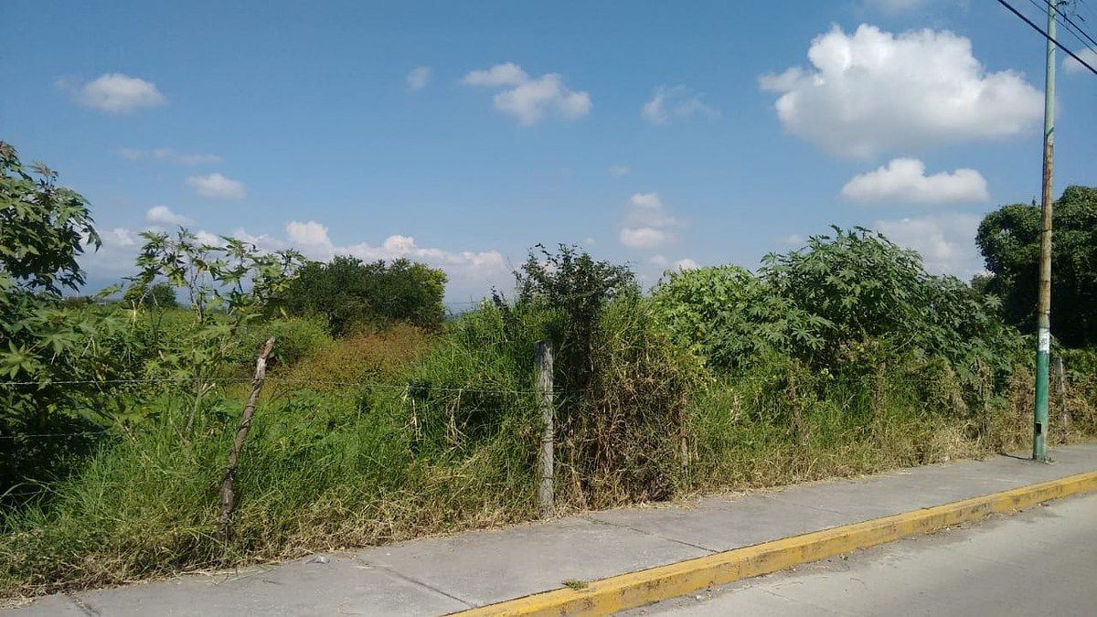 Lote em Centro, Xochitepec, foto 11 de 17