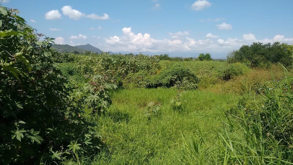 Lote em Centro, Xochitepec, foto 12 de 17