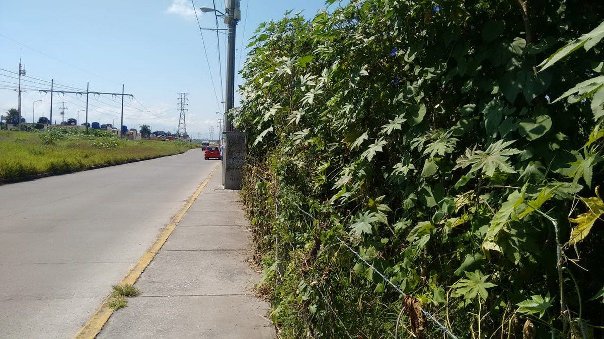 Lote em Centro, Xochitepec, foto 13 de 17