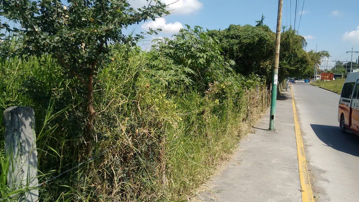 Lote em Centro, Xochitepec, foto 14 de 17