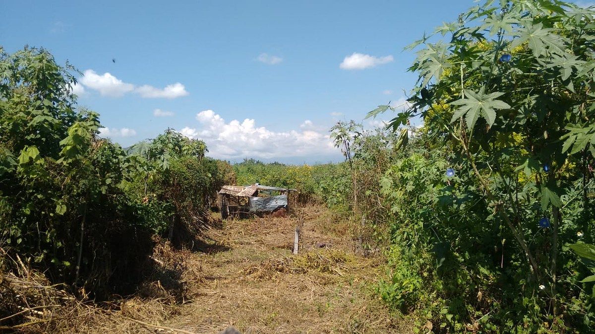 Lote em Centro, Xochitepec, foto 15 de 17