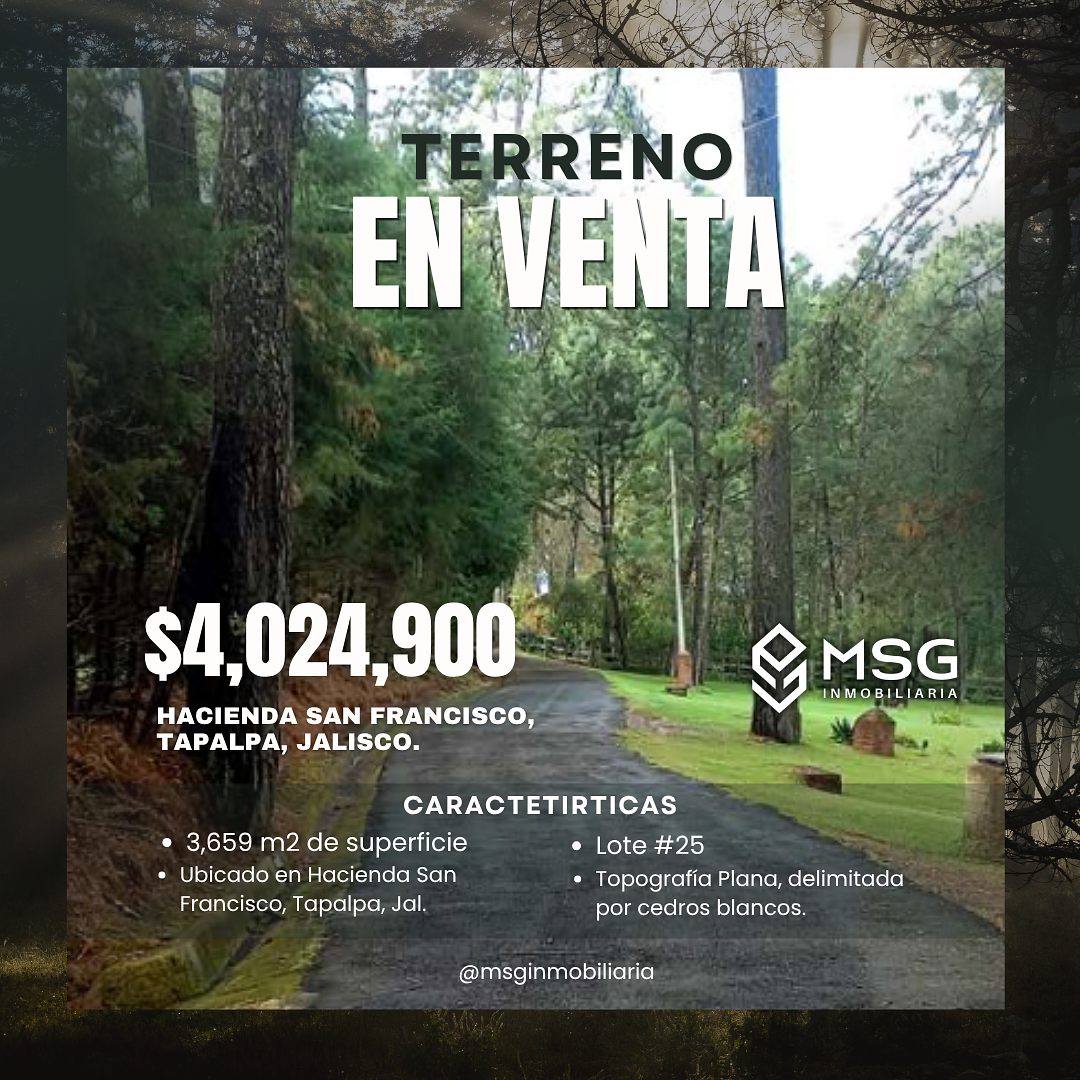 Lote em Los Espinos, Tapalpa, foto 3 de 7