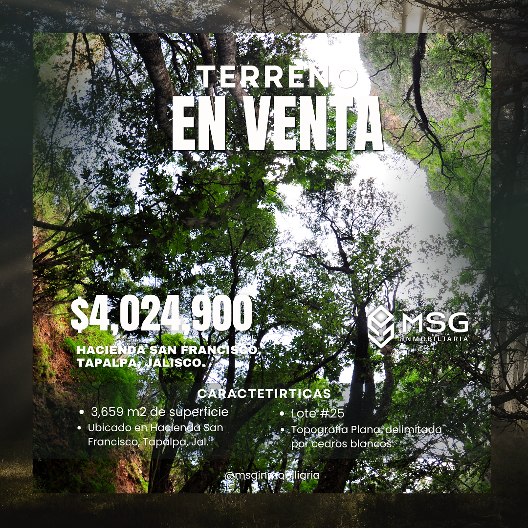 Lote em Los Espinos, Tapalpa, foto 4 de 7