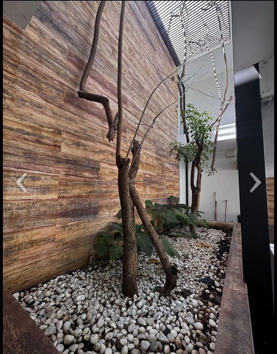 Casa em Temozón Norte, Mérida, foto 15 de 21