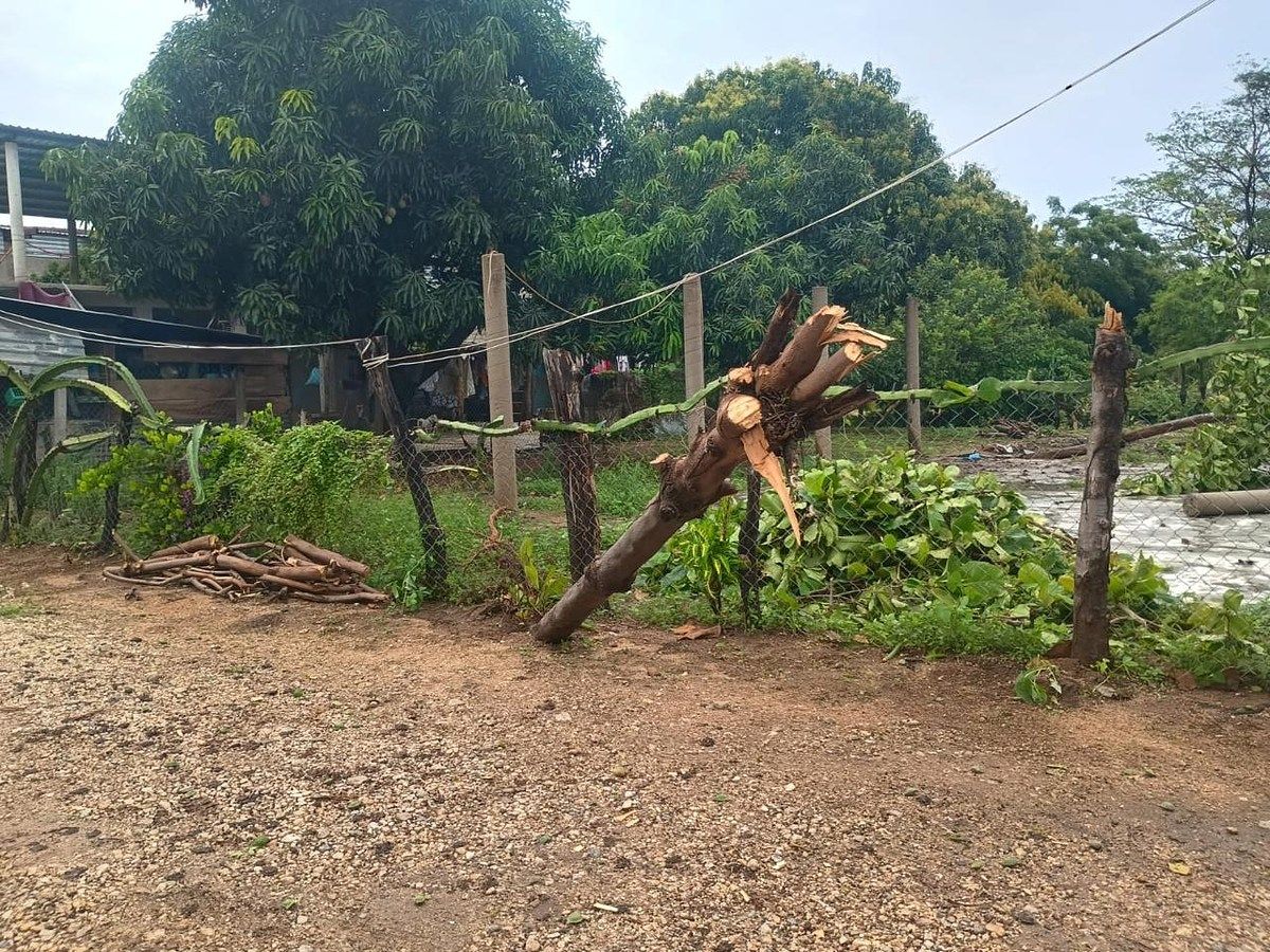 Lote em Barra de Navidad, Santa María Colotepec, foto 3 de 4