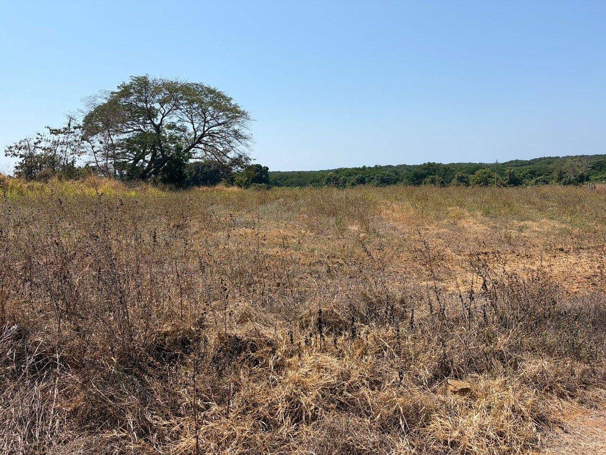Lote em Barra de Navidad, Santa María Colotepec, foto 3 de 16