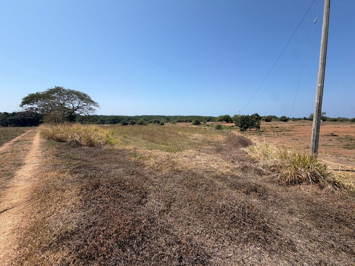 Lote em Barra de Navidad, Santa María Colotepec, foto 6 de 16