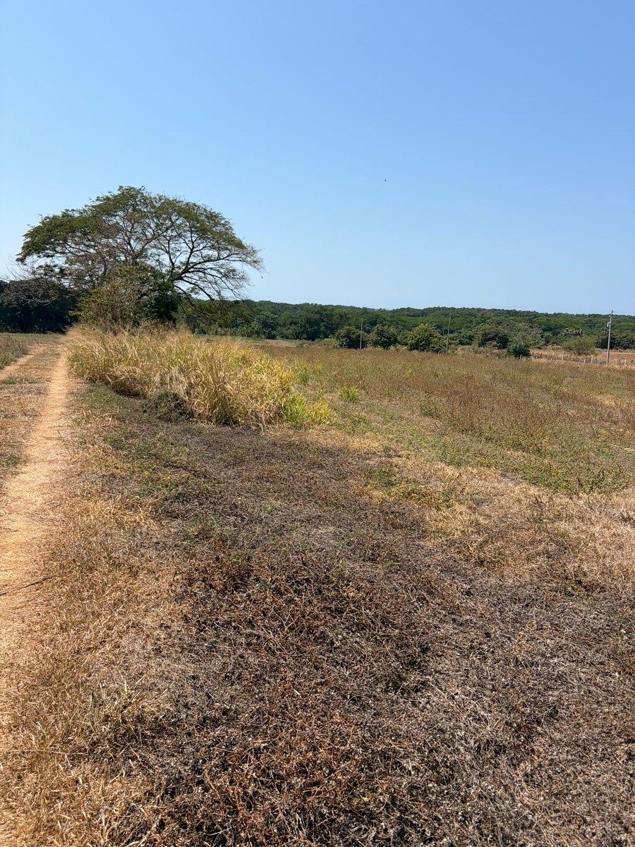 Lote em Barra de Navidad, Santa María Colotepec, foto 8 de 16