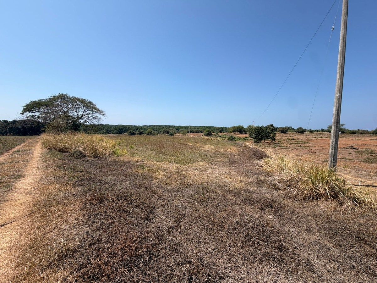 Lote em Barra de Navidad, Santa María Colotepec, foto 12 de 16