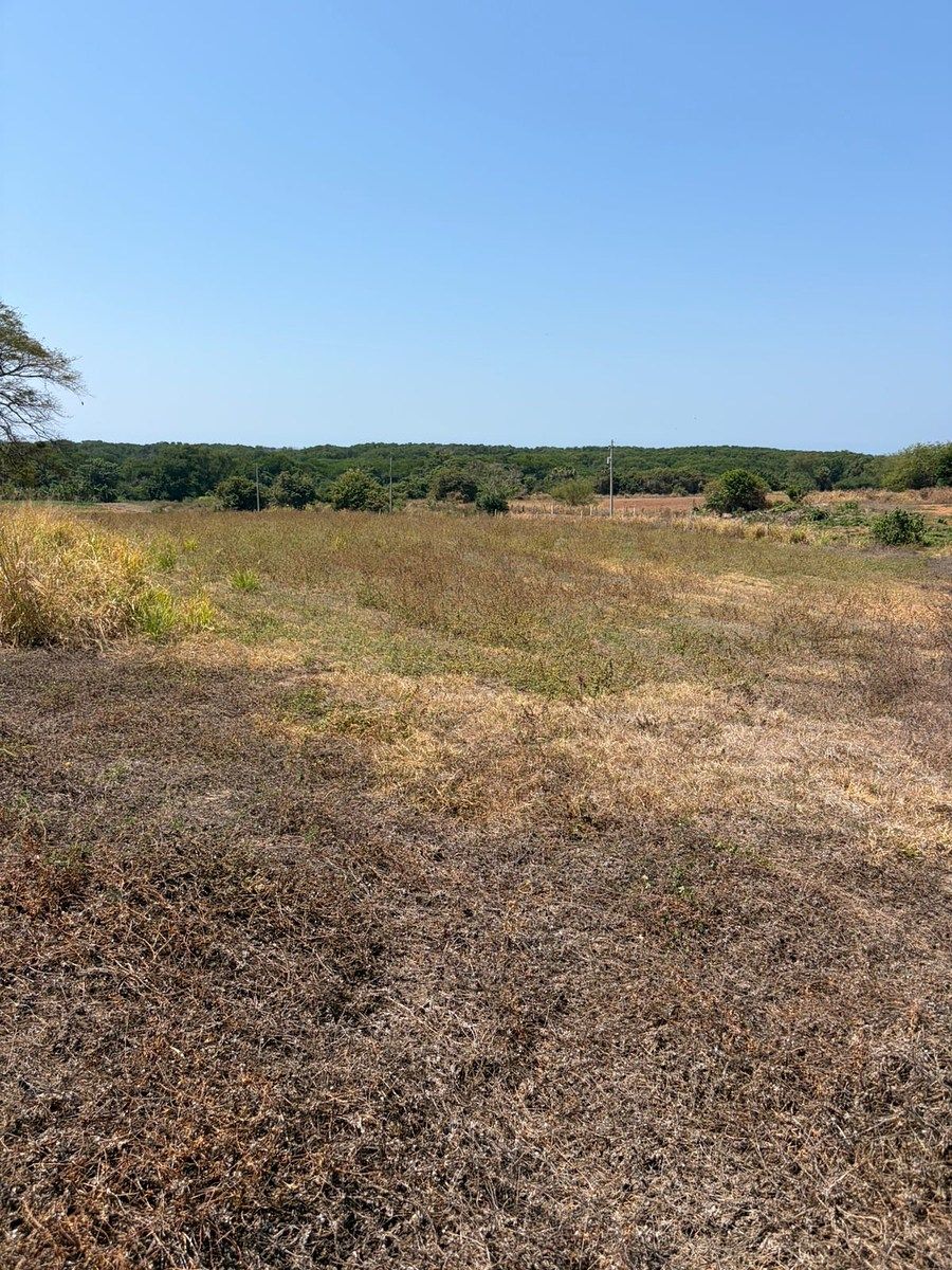 Lote em Barra de Navidad, Santa María Colotepec, foto 13 de 16