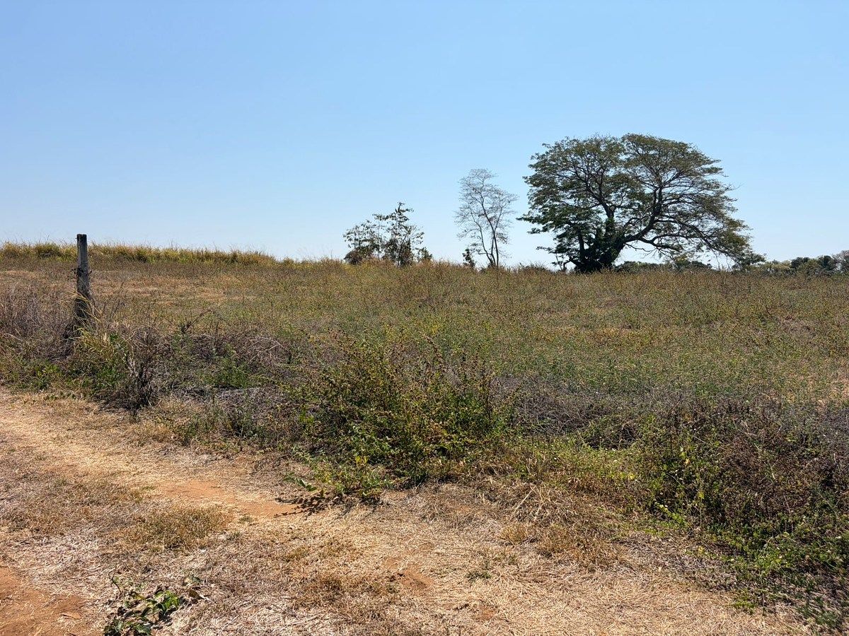 Lote em Barra de Navidad, Santa María Colotepec, foto 15 de 16