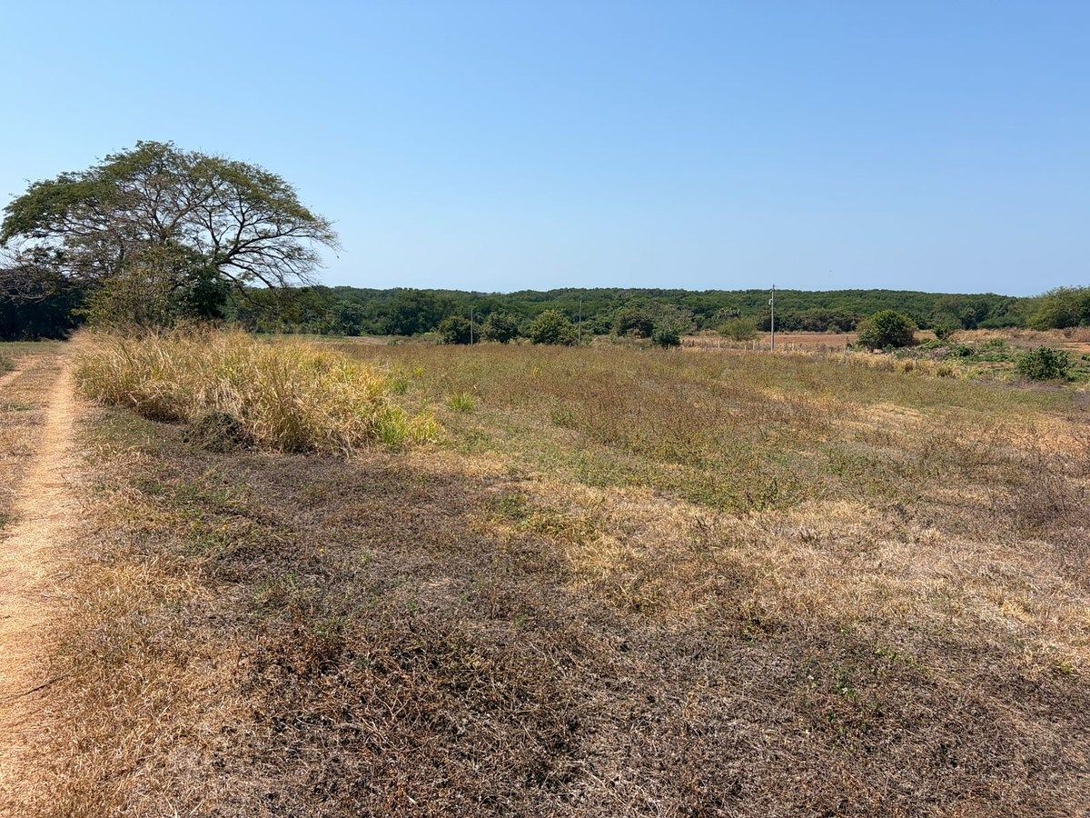 Lote em Barra de Navidad, Santa María Colotepec, foto 16 de 16