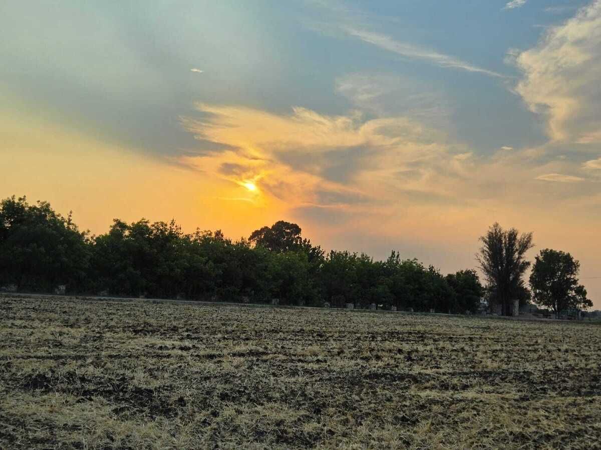 Lote em La Palma, Pedro Escobedo, foto 7 de 8