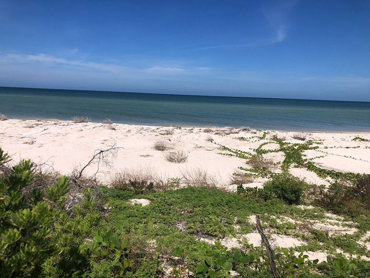 Lote em Sisal, Hunucmá, foto 5 de 16