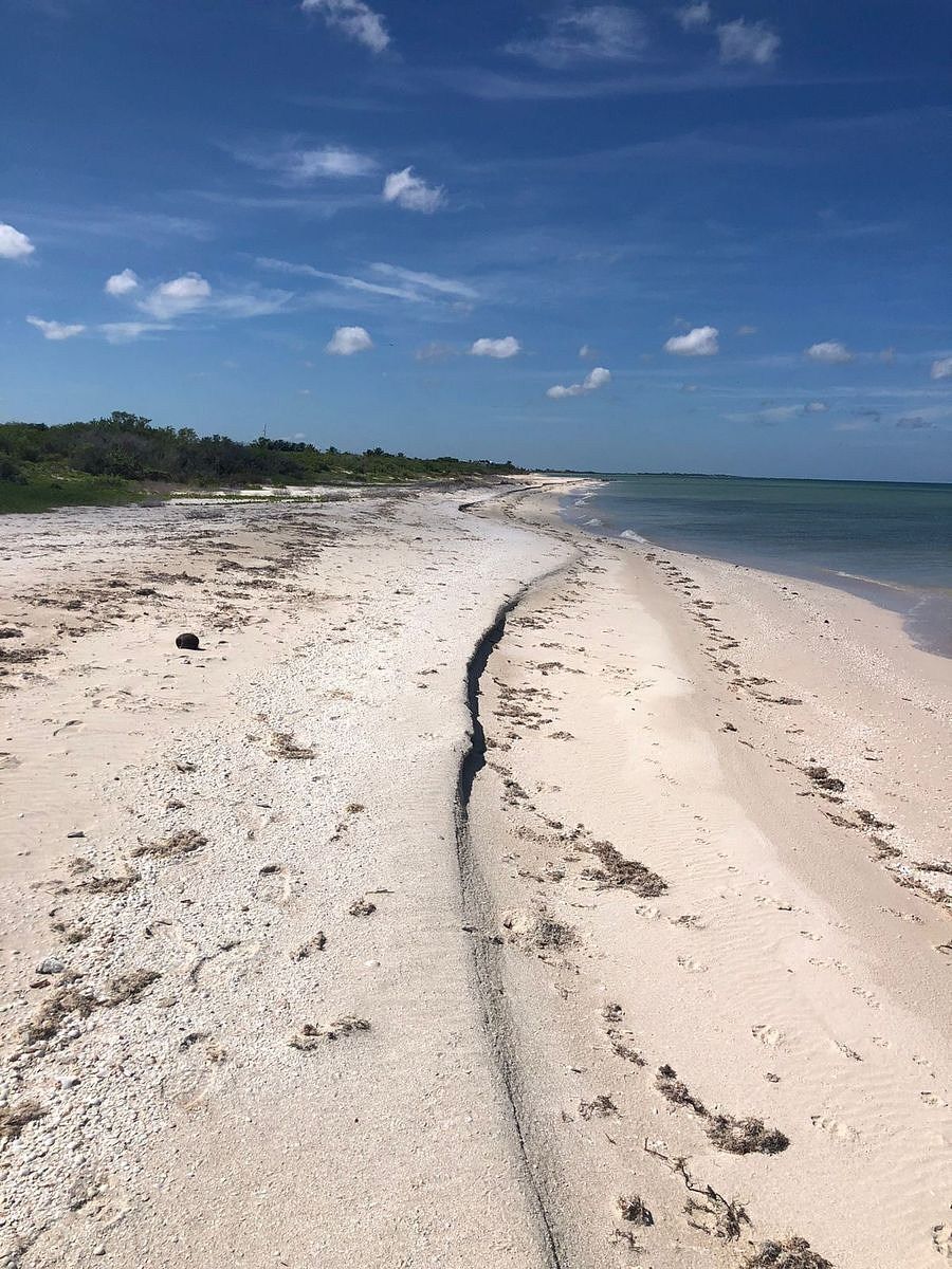 Lote em Sisal, Hunucmá, foto 8 de 16