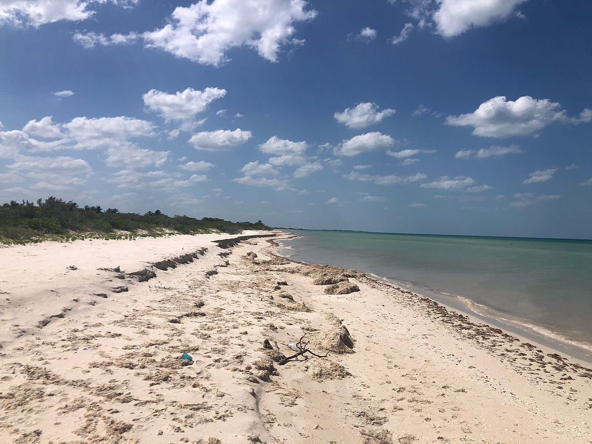 Lote em Sisal, Hunucmá, foto 9 de 16