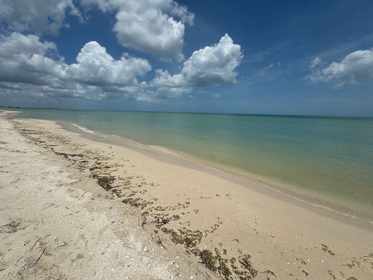 Lote em Sisal, Hunucmá, foto 16 de 16